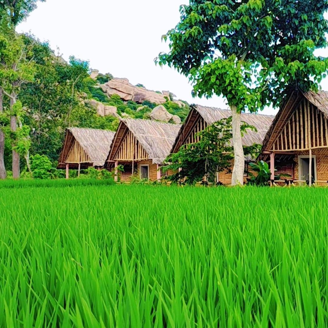 Om Shanti Om Home Stay & Cafe Hampi Exteriör bild